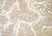 Anti Human Interferon Gamma Antibody thumbnail image 1