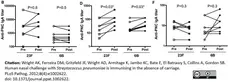 Goat anti Human IgA:Alk. Phos. Antibody gallery image 1