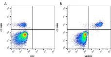 Anti Human IgD Antibody gallery image 1