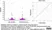 Goat Anti Human IgG (H/L) Antibody : HRP thumbnail image 1
