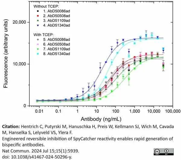 Anti Human IgG F(ab')2 Antibody gallery image 2