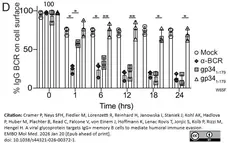 Anti Human IgG (Fab') Antibody gallery image 1
