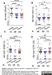 Anti Human IgG/A/M Antibody thumbnail image 1