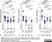 Anti Human IgG/A/M Antibody thumbnail image 2