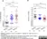 Anti Human IgG/A/M Antibody thumbnail image 3