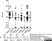Anti Human IgG/A/M Antibody thumbnail image 5