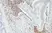 Anti Human Interleukin-5 Antibody thumbnail image 1
