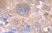 Anti Human Interleukin-6 Antibody thumbnail image 1