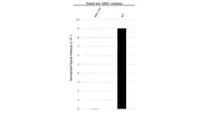 Anti MEK 1 Antibody (PrecisionAb Polyclonal Antibody) gallery image 3