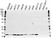 Anti MIF Antibody (PrecisionAb Polyclonal Antibody) thumbnail image 1