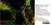 Anti Human Nestin Antibody thumbnail image 3