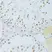 Anti NFkB p65 (pSer276) Antibody thumbnail image 2