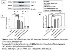 Anti Human PAI-1 Antibody gallery image 3