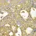 Anti PRKAR1A Antibody thumbnail image 2