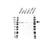 Anti Protein Kinase D2 Antibody (PrecisionAb Polyclonal Antibody) thumbnail image 1