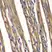 Anti PTPN2 Antibody thumbnail image 2