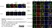 Rabbit Anti Human TGN46 Antibody  thumbnail image 3