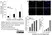 Sheep Anti Human TGN46 Antibody  thumbnail image 12
