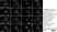 Sheep Anti Human TGN46 Antibody  thumbnail image 2