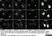Sheep Anti Human TGN46 Antibody  thumbnail image 26