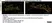 Sheep Anti Human TGN46 Antibody  thumbnail image 56