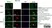 Sheep Anti Human TGN46 Antibody  thumbnail image 6