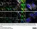 Sheep Anti Human TGN46 Antibody  thumbnail image 62