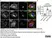 Sheep Anti Human TGN46 Antibody  thumbnail image 65