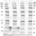 Anti Human TNF Alpha Antibody thumbnail image 1