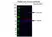 Anti Vinculin Antibody (PrecisionAb Polyclonal Antibody) thumbnail image 2