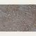 Anti Laminin Antibody thumbnail image 1