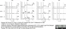 Anti Monkey IgG (H/L) Antibody gallery image 1
