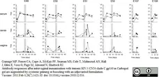 Anti Monkey IgG (H/L) Antibody gallery image 2