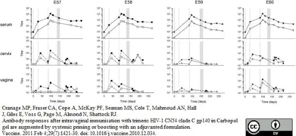 Anti Monkey IgG (H/L) Antibody gallery image 3