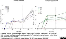 Anti Monkey IgG (H/L) Antibody gallery image 6