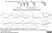 Anti Monkey IgG (H/L) Antibody thumbnail image 7