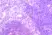 Anti Mouse CDw198 Antibody thumbnail image 1