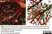 Anti Mouse Collagen IV Antibody thumbnail image 10