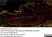 Anti Mouse Collagen IV Antibody thumbnail image 17