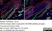 Anti Mouse Collagen IV Antibody thumbnail image 18