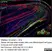 Anti Mouse Collagen IV Antibody thumbnail image 19