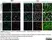 Anti Mouse Collagen IV Antibody thumbnail image 22
