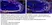 Anti Mouse Collagen IV Antibody thumbnail image 40