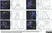 Anti Mouse IgG Antibody - Purified 1mg thumbnail image 4