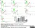 Goat Anti Mouse IgG (H/L) Antibody : FITC thumbnail image 1