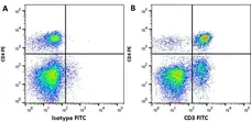 Anti Mouse IgG (H/L) (Multi Species Adsorbed) Antibody gallery image 8
