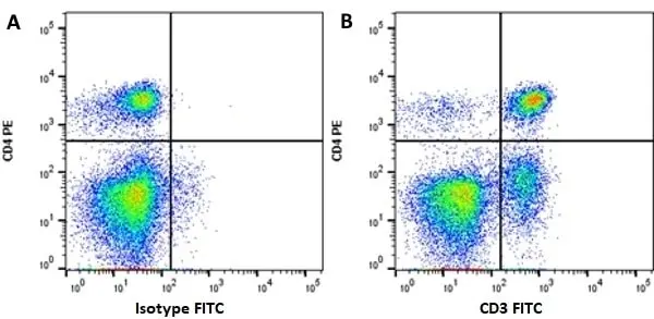 Anti Mouse IgG (H/L) (Multi Species Adsorbed) Antibody gallery image 8