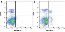 Anti Mouse IgG (H/L) (Multi Species Adsorbed) Antibody gallery image 9