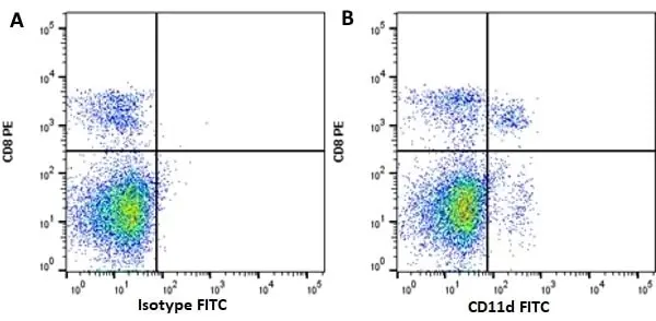 Anti Mouse IgG (H/L) (Multi Species Adsorbed) Antibody gallery image 9