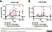Anti Mouse IgG (Fc) Antibody thumbnail image 1